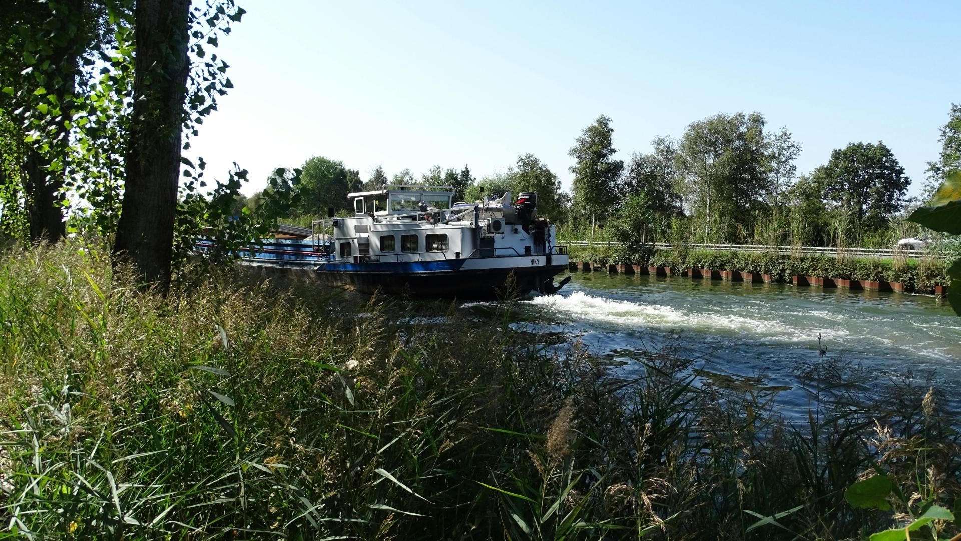 Passantenhaven Pelt De Rally Drinken
